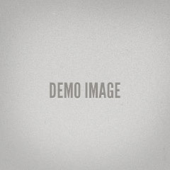Demo Image